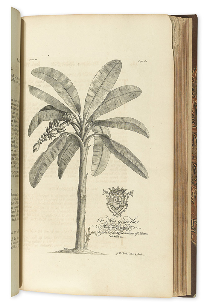 (BARBADOS.) Hughes, Griffith. The Natural History of Barbados.